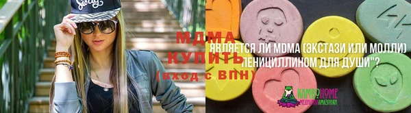ГАЛЛЮЦИНОГЕННЫЕ ГРИБЫ Алзамай