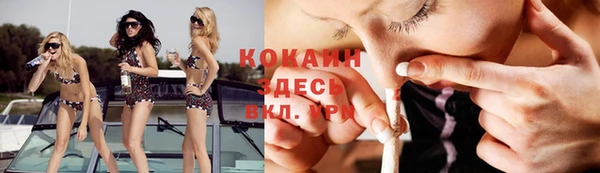 ГАЛЛЮЦИНОГЕННЫЕ ГРИБЫ Алзамай