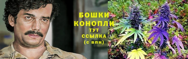 ГАЛЛЮЦИНОГЕННЫЕ ГРИБЫ Алзамай