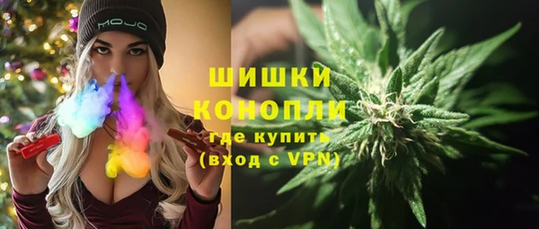 ГАЛЛЮЦИНОГЕННЫЕ ГРИБЫ Алзамай