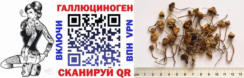 Псилоцибиновые грибы Magic Shrooms Белореченск